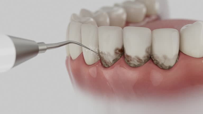 Reliable Dental contractor in San Castle, FL by Dentist Open Now